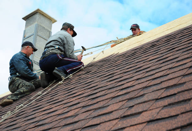 Best Storm Damage Roof Repair  in Collinsville, CT